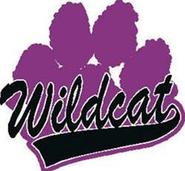 Wildcat